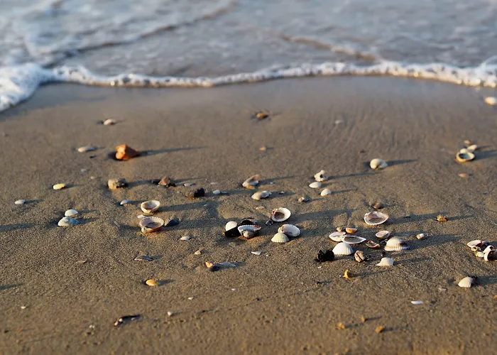 Bright Flat With A Wide Terrace-beahost Appartement